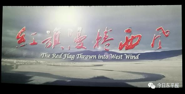 这辆车叫什么？